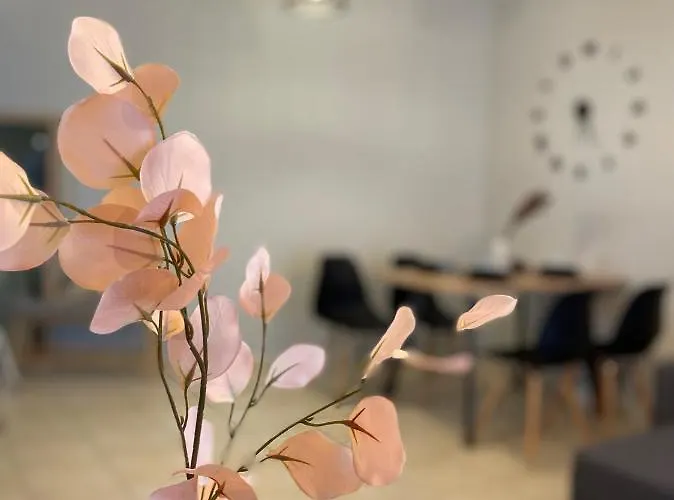 Apartment Filoxenia - ολόκληρο διαμέρισμα *